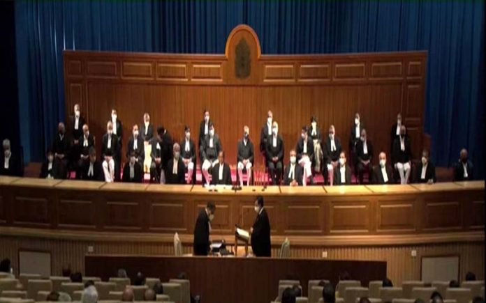 judge